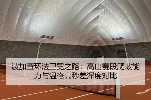 波加查环法卫冕之路：高山赛段爬坡能力与温格高秒差深度对比